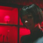 Собаки не носят штанов (2019)